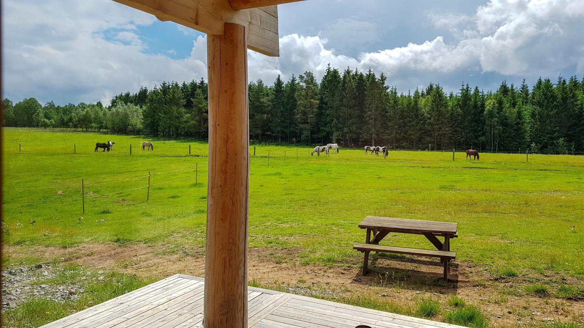 Willa Eddylou Ranch Sloinge Zewnętrze zdjęcie